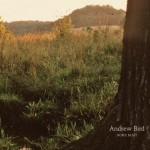 andrew_bird-noble_beast-album_art